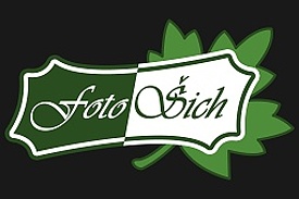 Primary Raster logo